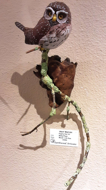 'Alert' - Pygmy Owl -Wall Hanging.