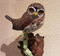'Alert' - Pygmy Owl -Wall Hanging.