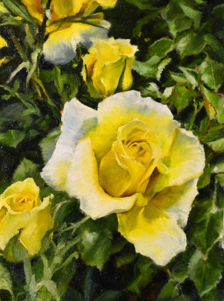 Reaching Out, Yellow Rose by Mitch Caster, 12x9, Oil