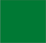 Solid Forest Green