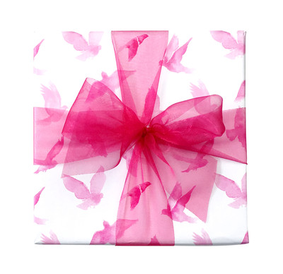 Counter Roll Gift Wrap - 80 gsm - 50m - Watercolour Birds Hot Pink