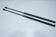 2008 - 2012 Mercedes Benz C300 Hood Shocks OEM