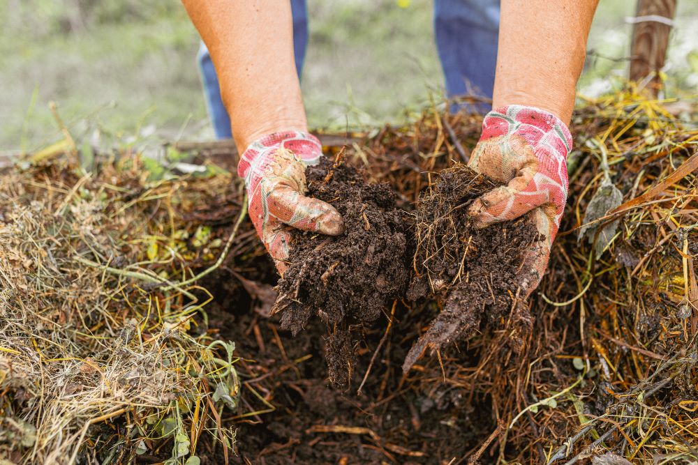 Person with hands in Healthy Compost