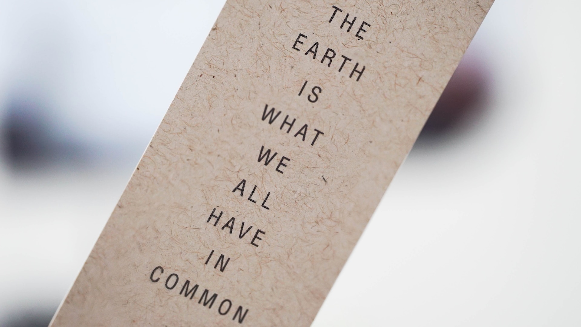 The Earth is what we have in common