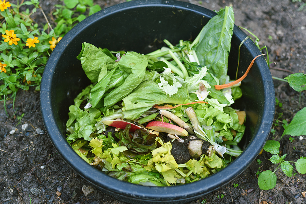 What Happens to Compostable Items in a Landfill? Elevate Packaging