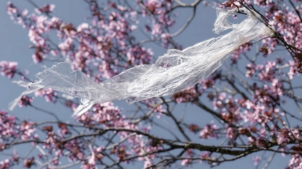 Cherry Blossom Reusable Straw