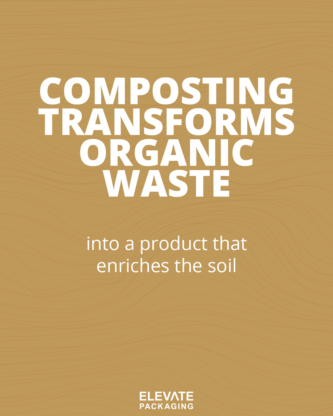 Composting Transforms Organic Waste