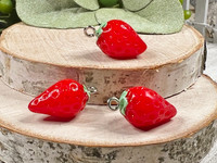 Resin charms  measuring 12x20mm with 2mm silver iron charm loop