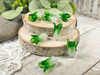 Bok Choy, Napa cabbage, vegetable beads
