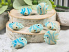 Cream & Aqua Tropical Fish Beads - 18x18x8mm - 1.5mm Vertical Holes