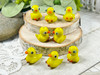 These quackers measure 14x20x12mm and have 2mm beading holes