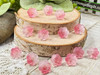 Beautifully varigated pink flowers