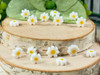 Sweet & dainty flowers 
