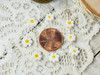 They measure approx. 8mm (some are about 7mm while others are closer to 9mm) with 1mm beading holes