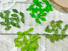 We also have Bright Green, Olive Green, and Light green 