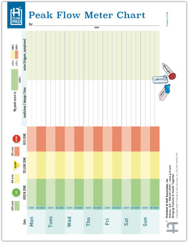 Peak Flow Meter Tearpad (50 sheets per pad) (214A) front side of tear off pad