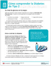 Spanish Type 2 Diabetes Tearpad (50 sheets per pad) (334S) -back side
