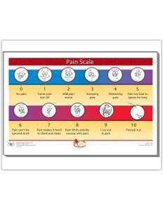 Pain Scale Magnet (6x9") (420) - front side