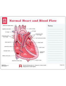 Normal Heart and Blood Flow Tearpad (50 sheets per pad) (670)
