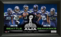 Seahawks Super Bowl 49 "Team Force" Panoramic Photo Mint