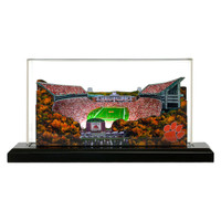    Clemson Tigers 9" x 4" Light Up Stadium with Display Case