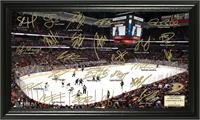 Anaheim Ducks Signature Rink