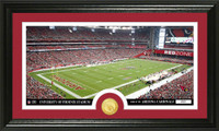 Arizona Cardinals Stadium Bronze Coin Panoramic Photo Mint