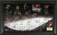 Arizona Coyotes Signature Rink