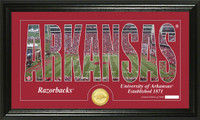 University of Arkansas Silhouette Bronze Coin Panoramic Photo Mint