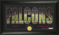 Atlanta Falcons Silhouette Bronze Coin Panoramic Photo Mint