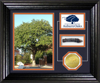 Auburn Oaks Authentic Oaks Desktop Photo Mint