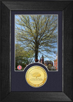 Auburn Oaks Dedication Bronze Coin Mini Mint