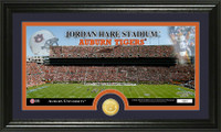 Auburn University Stadium Bronze Coin Panoramic Photo Mint