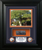 *Auburn Oaks Authentic Oak Marquee Silver Coin Photo Mint