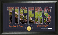 Auburn University Silhouette Bronze Coin Panoramic Photo Mint