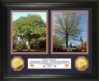 Auburn Oaks Then & Now Gold Coin Photo Mint