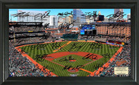 Baltimore Orioles Signature Field