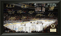 Boston Bruins Signature Rink