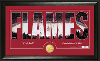 Calgary Flames Silhouette Bronze Coin Panoramic Photo Mint