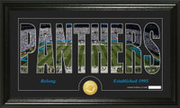 Carolina Panthers Silhouette Bronze Coin Panoramic Photo Mint