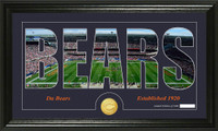 Chicago Bears Silhouette Bronze Coin Panoramic Photo Mint