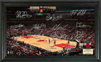 Chicago Bulls Signature Court