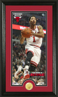 Derrick Rose Bronze Coin Panoramic Photo Mint