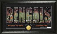 Cincinnati Bengals Silhouette Bronze Coin Panoramic Photo Mint