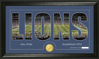 Detroit Lions Silhouette Bronze Coin Panoramic Photo Mint