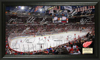 Detroit Red Wings Signature Rink