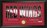 Detroit Red Wings Silhouette Bronze Coin Panoramic Photo Mint