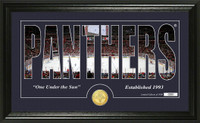 Florida Panthers Silhouette Bronze Coin Panoramic Photo Mint