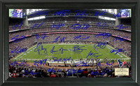 Houston Texans Signature Gridiron Collection
