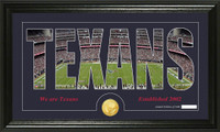 Houston Texans Silhouette Bronze Coin Panoramic Photo Mint